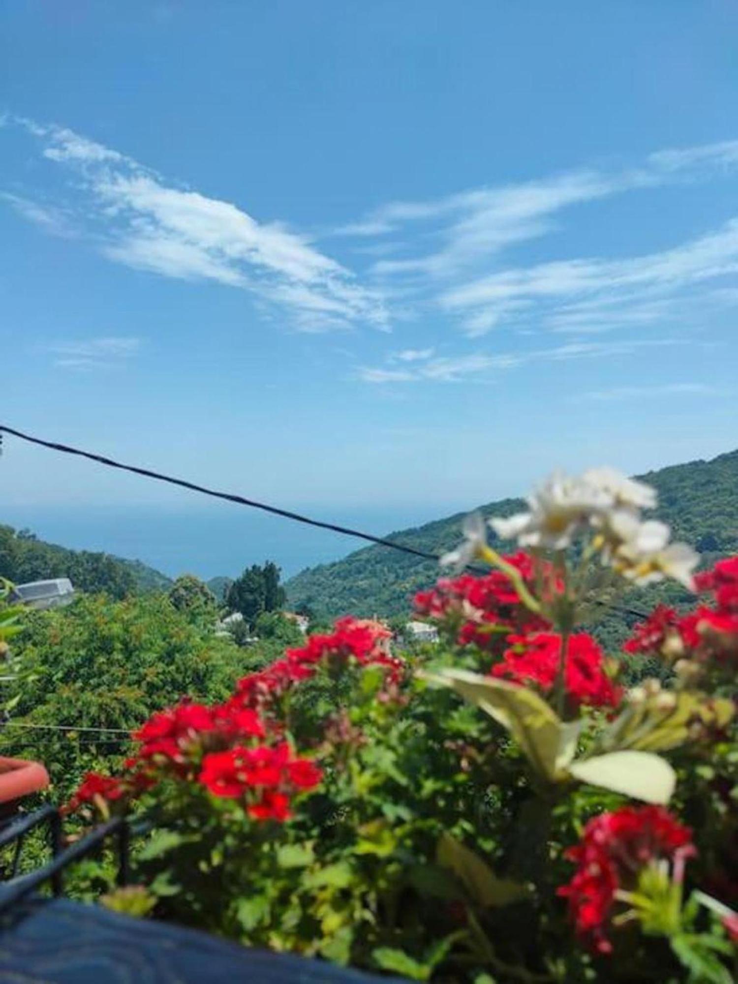 Apartamento Hara'S House Pelion Makrirrákhi Exterior foto