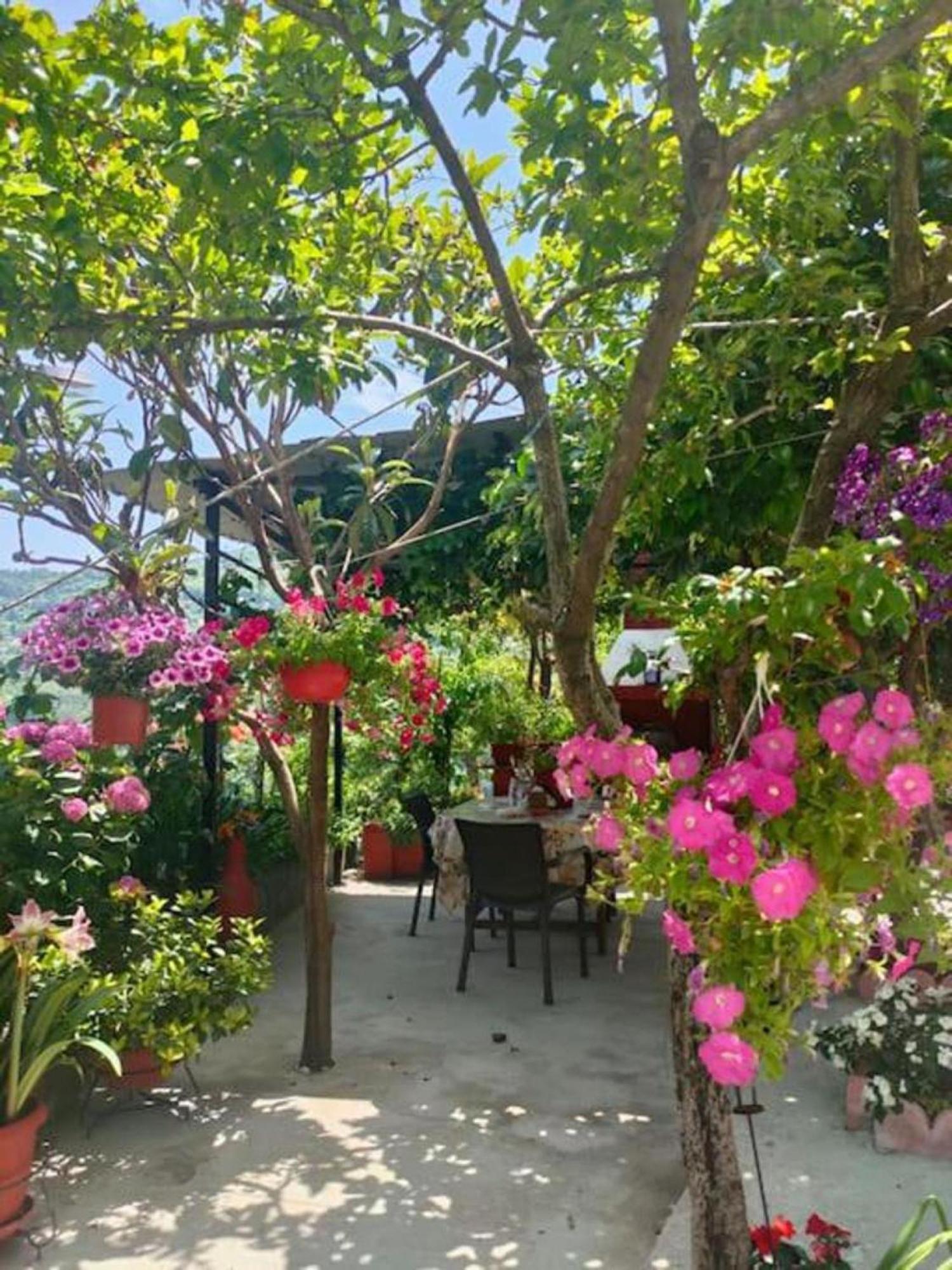 Apartamento Hara'S House Pelion Makrirrákhi Exterior foto